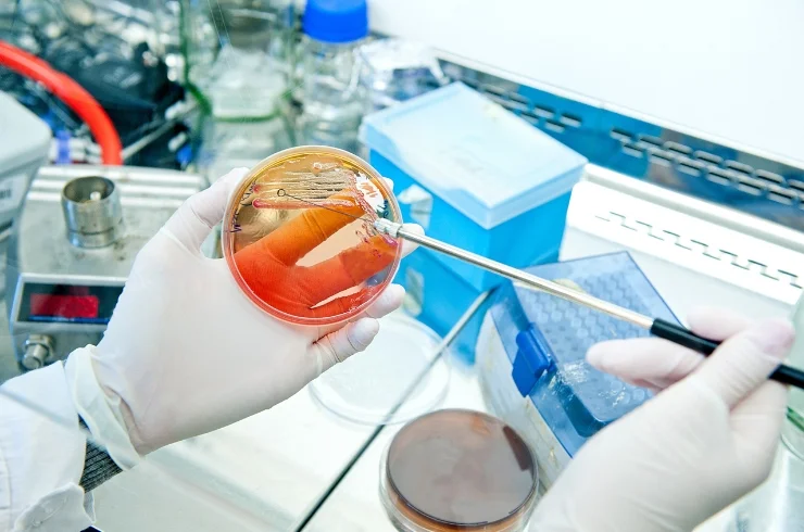 Microbiology